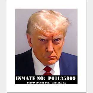 Donald Trump Mug Shot Posters and Art